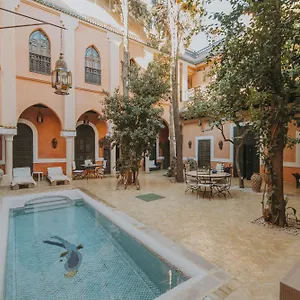 Riad Le Perroquet Bleu &, Marraquexe