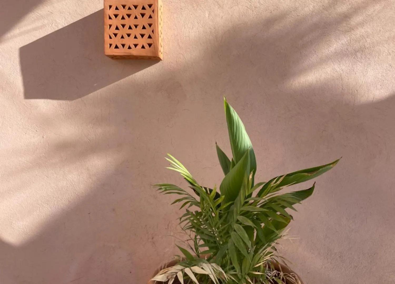 Riad Roca Marrakesh 0*,  Morocco